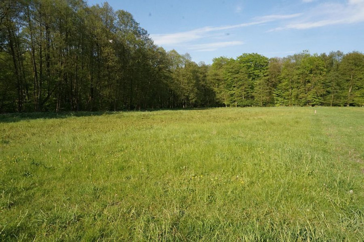 Działka Sprzedaż Goleniów 1