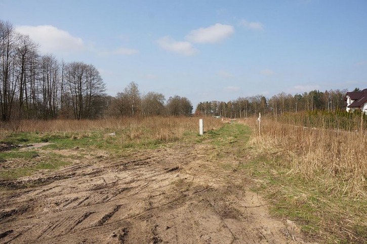 Działka Sprzedaż Goleniów 1
