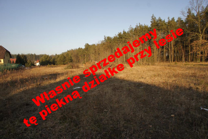 Działka Sprzedaż Rurzyca 1