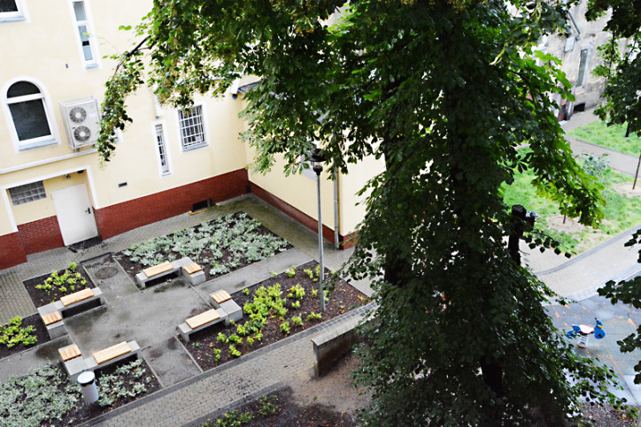 Mieszkanie Sprzedaż Szczecin Centrum bł. Królowej Jadwigi 14