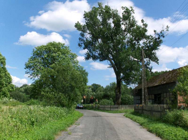 Działka Sprzedaż Niewiadowo 6