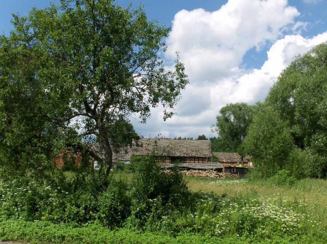 Działka Sprzedaż Niewiadowo 10