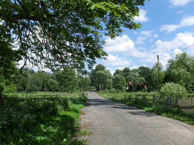 Działka Sprzedaż Niewiadowo 15
