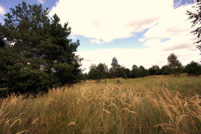 Działka Sprzedaż Wierzchosław 200 m od lasu