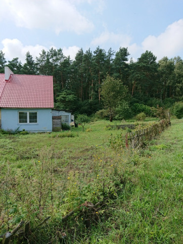 Dom Sprzedaż Krzowiec 1
