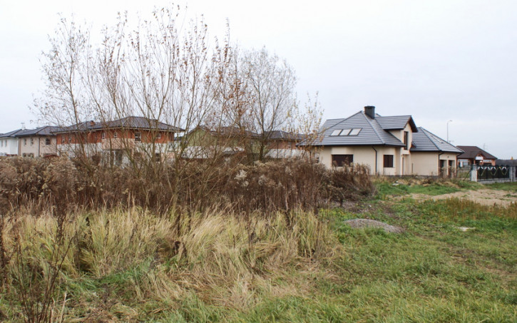 Działka Sprzedaż Załom 1