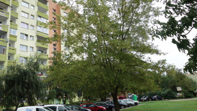 Mieszkanie Sprzedaż Szczecin Książąt Pomorskich Łucznicza