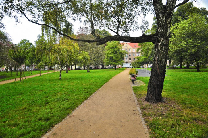Mieszkanie Wynajem Szczecin Niebuszewo Adama Asnyka 11