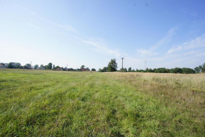 Działka Sprzedaż Rurzyca Żytnia