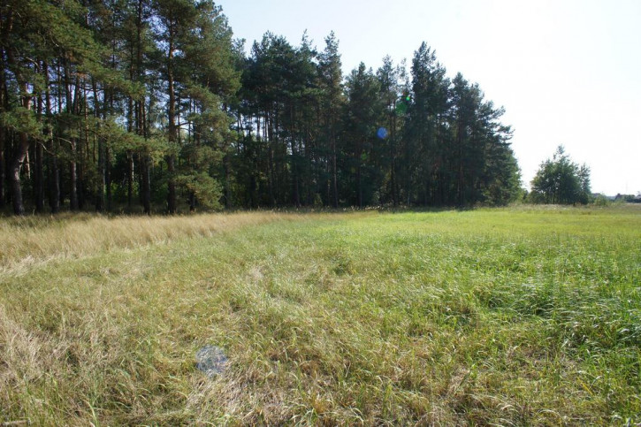 Działka Sprzedaż Rurzyca Żytnia 2