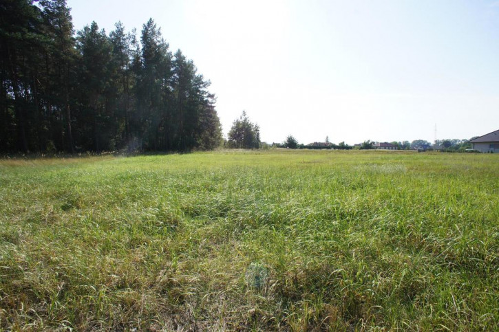 Działka Sprzedaż Rurzyca Żytnia 15