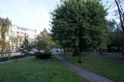 Mieszkanie Wynajem Świnoujście