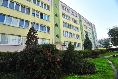 Mieszkanie Wynajem Szczecin Śródmieście-Centrum św. Marcina