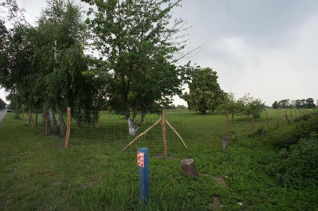 Działka Sprzedaż Rurzyca 6