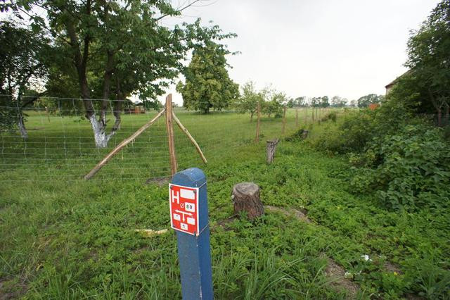 Działka Sprzedaż Rurzyca 7