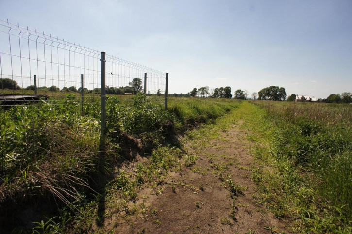 Działka Sprzedaż Rurzyca 2