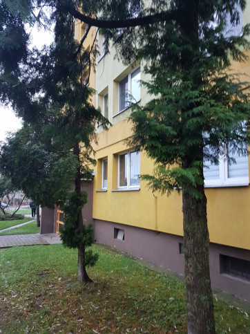 Mieszkanie Wynajem Szczecin Gumieńce Rezedowa 1