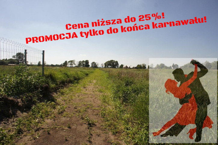 Działka Sprzedaż Rurzyca 1