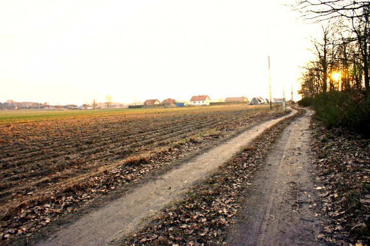 Działka Sprzedaż Marszewo 4