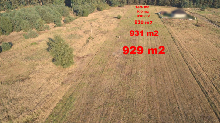 Działka Sprzedaż Rurzyca Żytnia 1