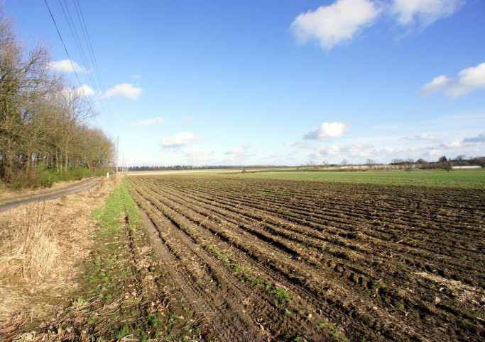 Działka Sprzedaż Marszewo 3
