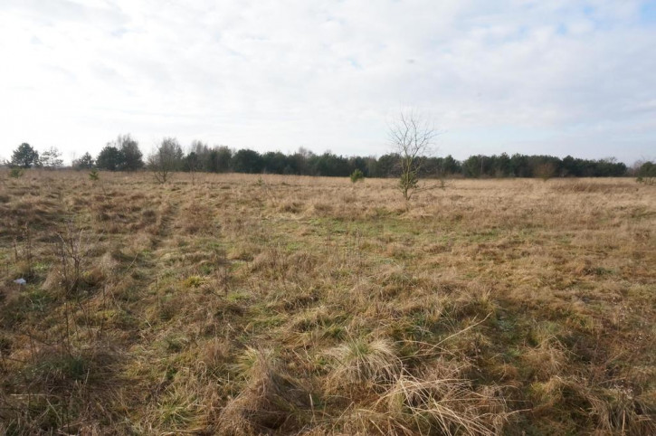 Działka Sprzedaż Białuń 8