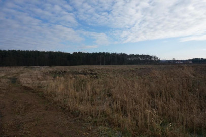 Działka Sprzedaż Żdżary