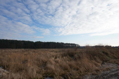 Działka Sprzedaż Żdżary