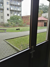 Mieszkanie Sprzedaż Szczecin Niebuszewo Księcia Barnima III Wielkiego