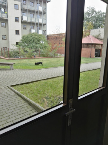 Mieszkanie Sprzedaż Szczecin Niebuszewo Księcia Barnima III Wielkiego 16