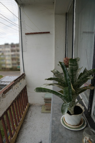 Mieszkanie Sprzedaż Goleniów 9