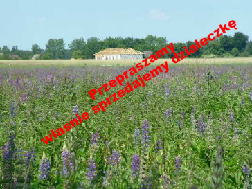 Działka Sprzedaż Białuń