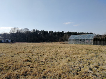 Działka Sprzedaż Motaniec