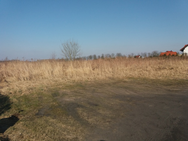 Działka Sprzedaż Przemocze Goleniów okolica 14 km 2