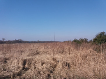 Działka Sprzedaż Przemocze Goleniów okolica 14 km