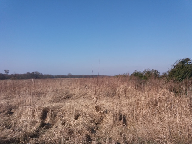 Działka Sprzedaż Przemocze Goleniów okolica 14 km 6