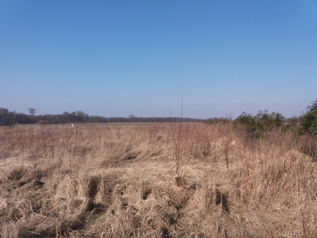 Działka Sprzedaż Przemocze Goleniów okolica 14 km 7
