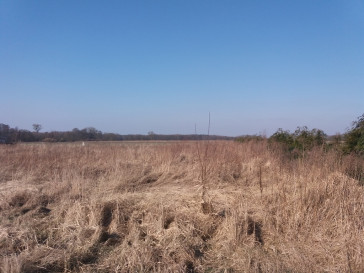 Działka Sprzedaż Przemocze Goleniów okolica 14 km