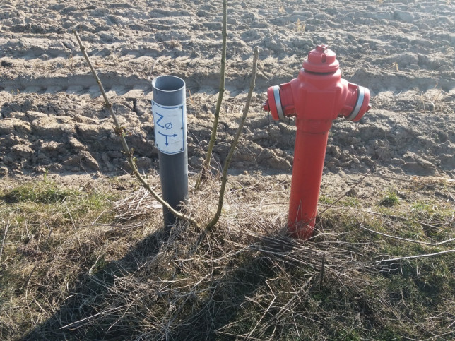 Działka Sprzedaż Przemocze Goleniów okolica 14 km 8
