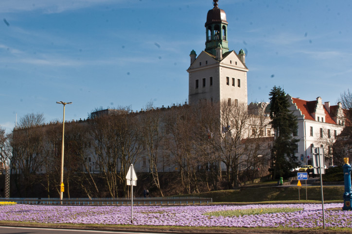 Mieszkanie Sprzedaż Szczecin Centrum Małopolska 6