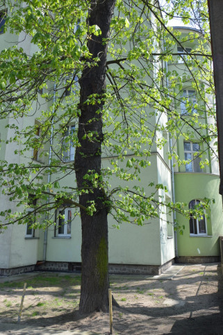 Mieszkanie Sprzedaż Szczecin Grabowo Jacka Malczewskiego 10