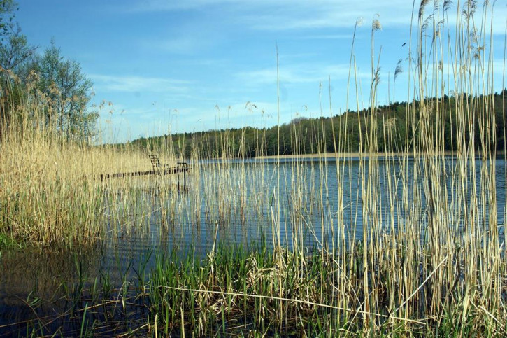 Dom Sprzedaż Klępnica 33