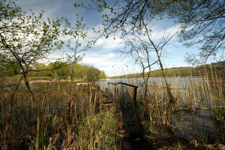 Dom Sprzedaż Klępnica 36