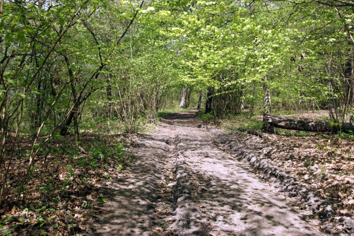 Dom Sprzedaż Klępnica 41