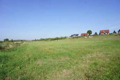 Działka Sprzedaż Goleniów