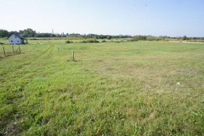 Działka Sprzedaż Goleniów