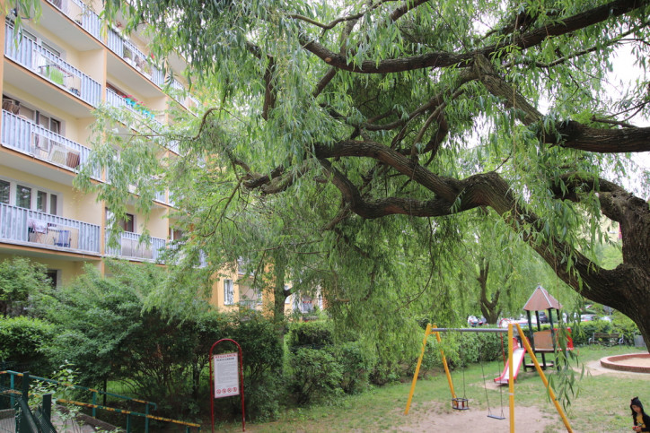 Mieszkanie Sprzedaż Szczecin Książąt Pomorskich 1