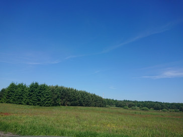 Działka Sprzedaż Łasko