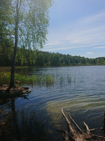 Działka Sprzedaż Łasko 9