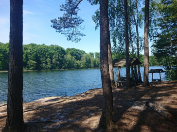 Działka Sprzedaż Łasko